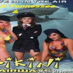 Bikini Airways Watch Online